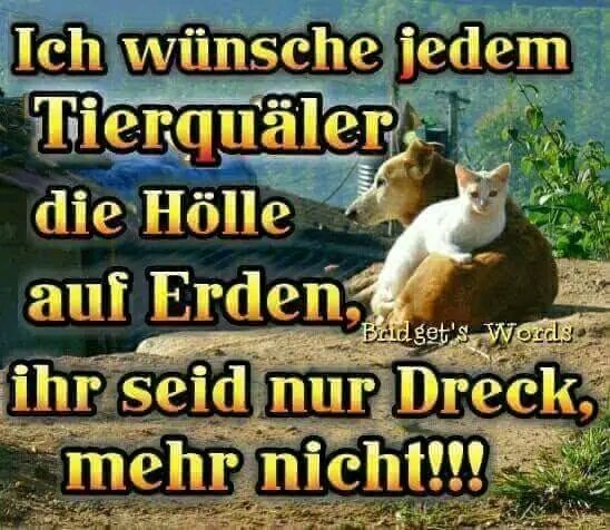 babsi1215572's tweet image. 😡😡😡😡