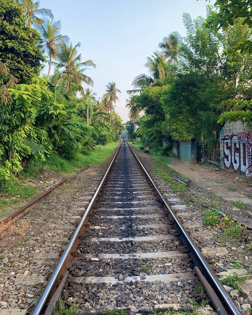 projectsabroad's tweet image. Following the fun of nursing students, Fabien and Valentine, on their medical internship in Sri Lanka! 🧑‍⚕️🏥

#medicine #internship #internabroad #volunteering #medschool