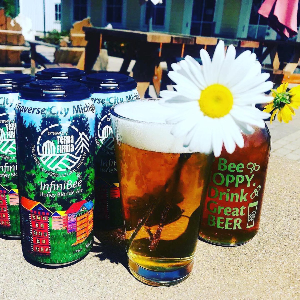 Fresh #InfiniBee cans coming off the line today. Add a 4 pack to your honey-do list. #Friday #BreweryTerraFirma #TraverseCity #Beekeeping #Michigan #GrandTraverseBay #ChelseaParkWest #TCFoodies #CraftBeer #Cider #FridayFeeling #Foodies #TraverseCityHair #GrandTraverse