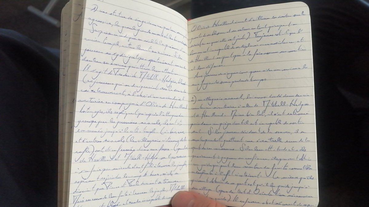 Surahki @surahki@imaginair.es tweet media