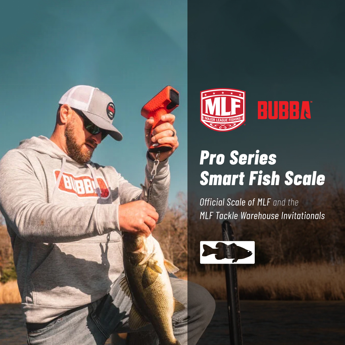 Tackle Warehouse on X: The perfect fish scale for both the hobbyist and  competitive tournament angler, the Bubba Pro Series Smart Fish Scale. The  Official Scale of @MajorLeagueFish and the #MLF5 @TackleWarehouse