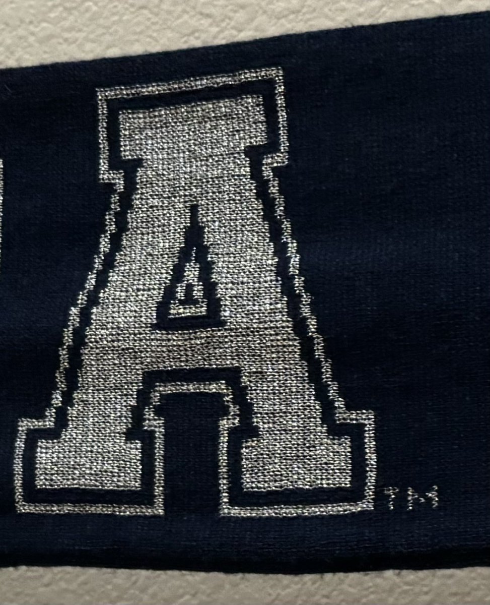AlexusJour's tweet photo. Love this sparkly A on my Nevada scarf :)
#RSJ108 #TypeWalk @marrygoli @DisruptiveDESGN https://t.co/EthEMMCR4d