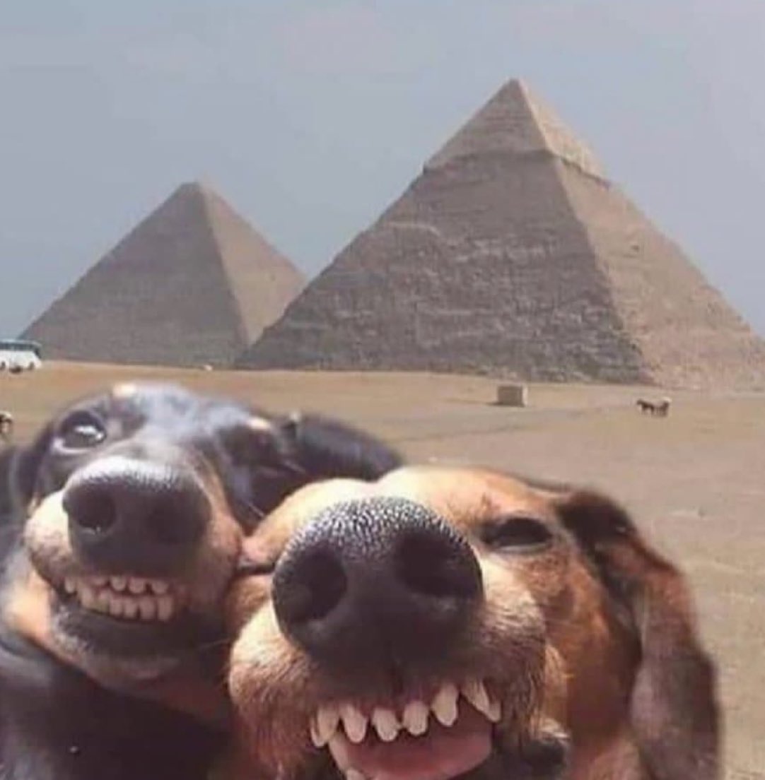 Mes parents quand ils se prennent en photo :