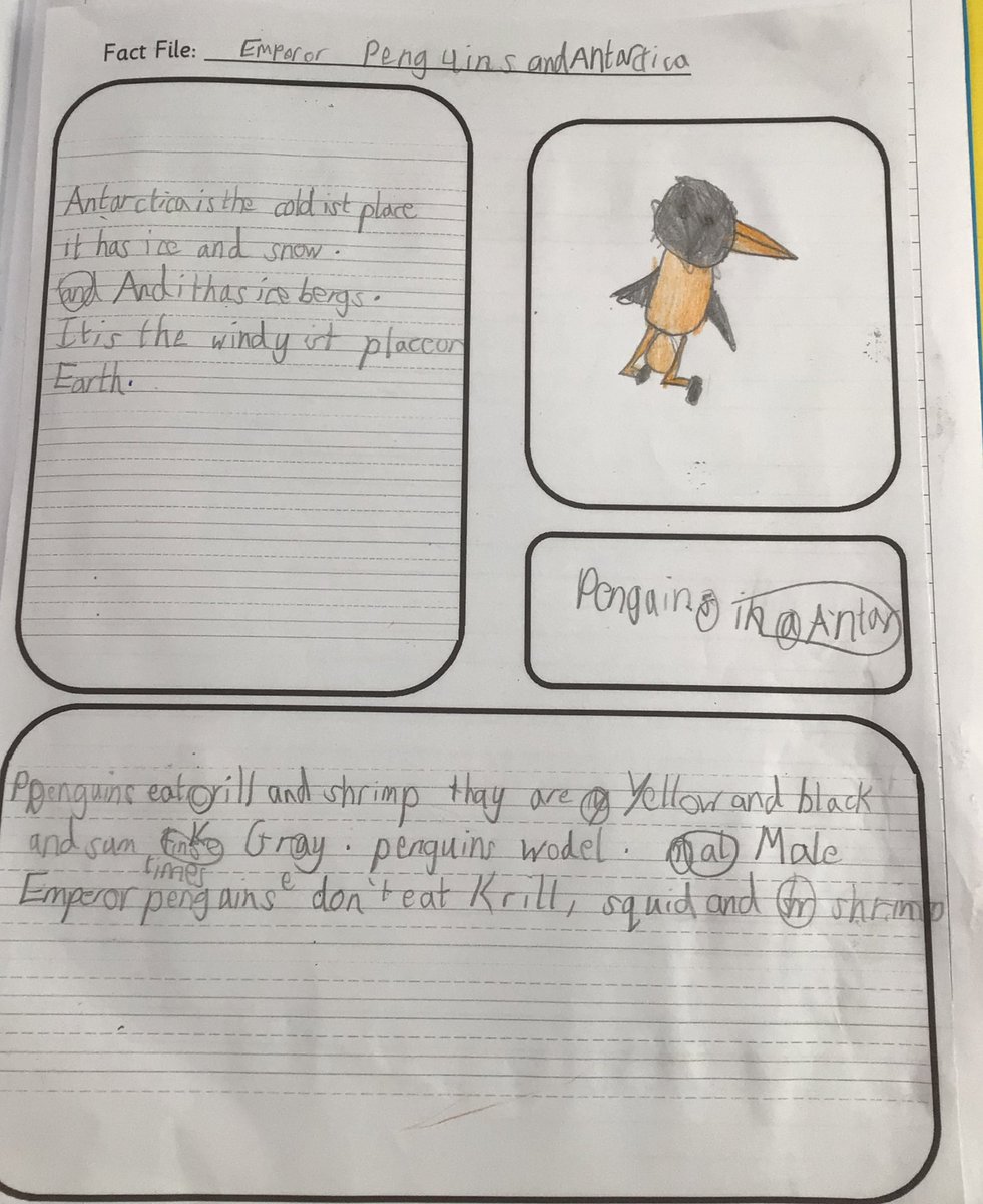 Y2 Orange Class-Beighton NI tweet media
