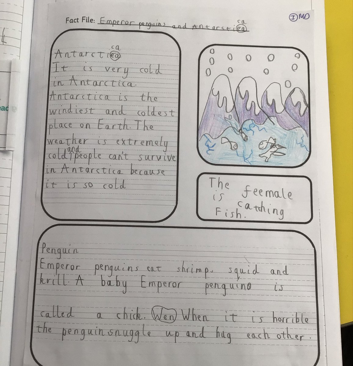 Y2 Orange Class-Beighton NI tweet media