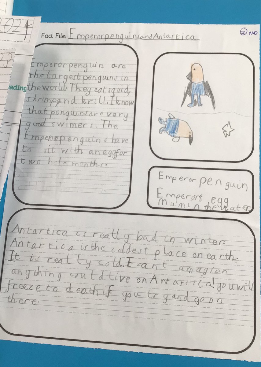 Y2 Orange Class-Beighton NI tweet media