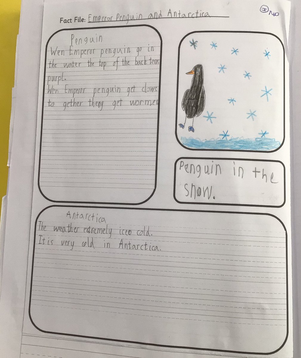 Y2 Orange Class-Beighton NI tweet media