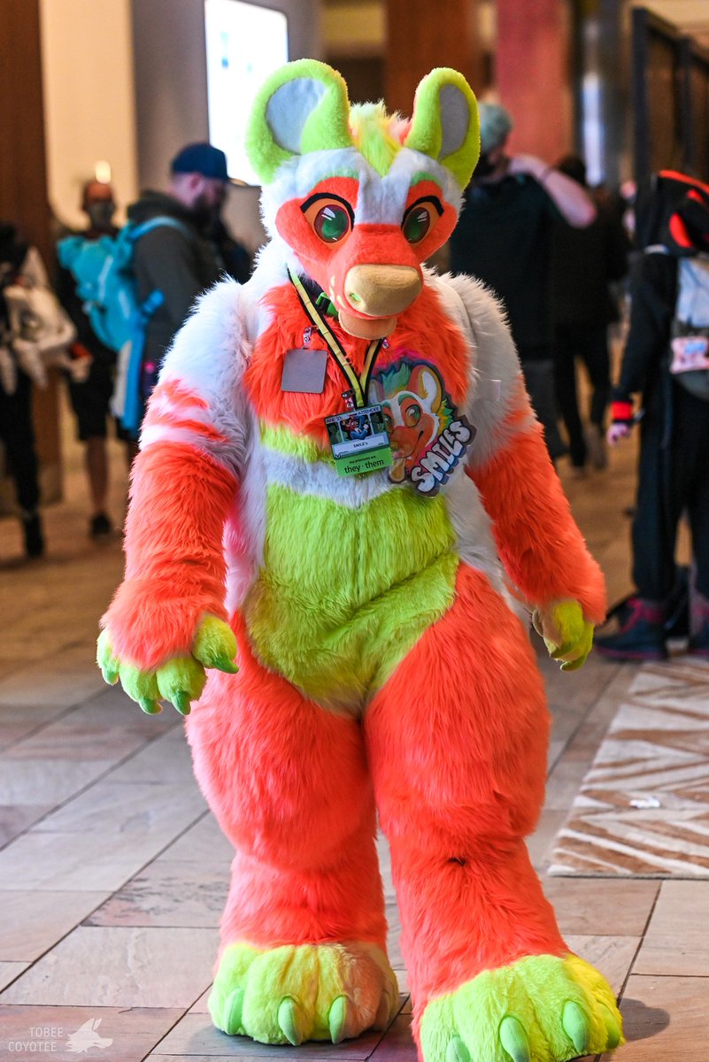 One foot in front of the other!~

#FursuitFriday #ANE2023 
📷:<a href="/tobeecoyotee/">Tobee Coyotee</a> 
🧵:<a href="/birdkinq/">Bird King Creations</a>