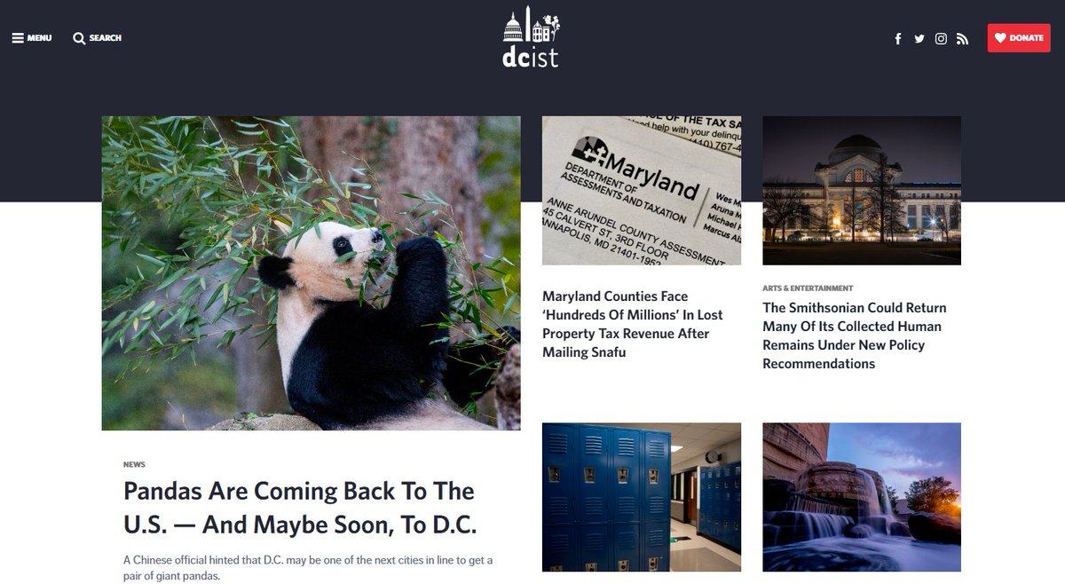 There are a lot of stories I'm proud of but my crowning achievement is to have written the last story ever to be published on DCist.com. Fittingly, it's about pandas.