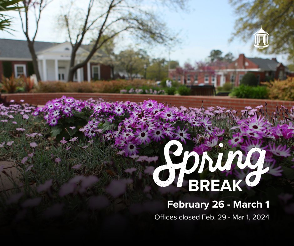 ColumbiaKoala's tweet photo. Happy Spring Break, Koalas! What will you be up to next week? Exciting travel plans?

Tag your photos #CCofSCSpringBreak &amp; we'll share! 💜 https://t.co/k32iPkyqRX