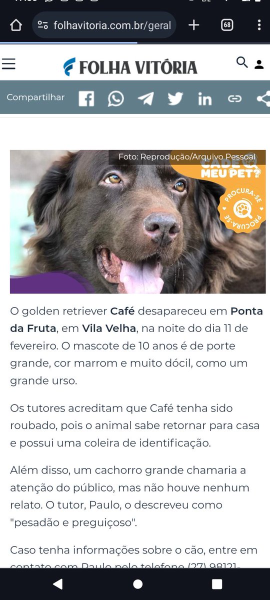 Joao_Alvesinho's tweet photo. Fala galera, meu cachorro tá desaparecido há 2 semanas e ainda n os encontramos (já estamos pensando em todas as hipóteses possíveis mas sem desistir).
Desaparecido em ponta da fruta, Vila velha - es mas pode estar em qualquer parte da cidade já.  Obg a todos 
#VamosAcharoCafe https://t.co/quvRhdU9hm