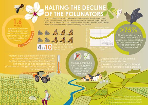 UNBiodiversity's tweet photo. Pollinator populations are declining at an alarming rate! 🐝
‌
This poses a serious risk to global food security as we depend on pollinators for many of our foods. 🍓
‌
Learn how improved land management can help slow or halt pollinators' decline. 👇
‌
via @ElevateSci https://t.co/5ry63UGFOQ