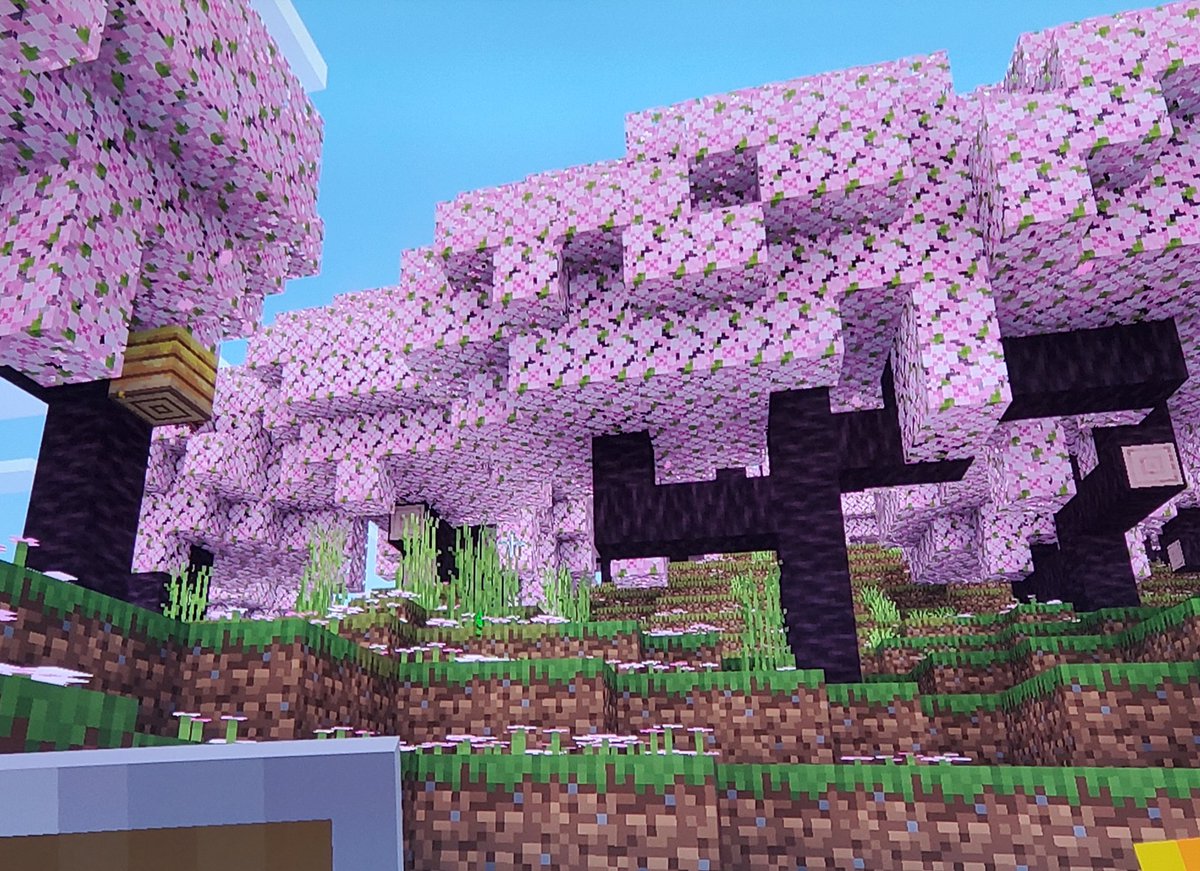 minecraft_coro's tweet image. 🆕️マイクラ100日目🌸
ついに、ついに見つけた👀！！
さくらバイオーム！
拠点から8700マス移動したらありました☺️
さくらが大好きなので、嬉しい😆
#マインクラフト
#マイクラ統合版