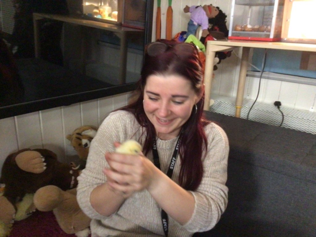 Our chicks have hatched and the children have enjoyed being very gentle with them! We cannot wait to begin to let the children hold them next week 🐣 #EarlyYears