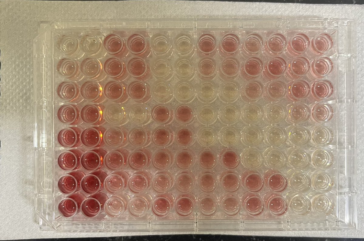 priyacmishra's tweet image. All GOD-POD ‼️
#glucoseestimation #phdlife