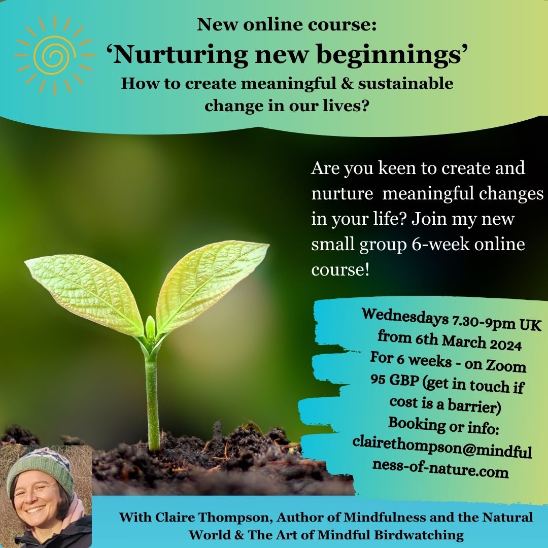 Facing change in your life? Wanting to nurture new beginnings and let go of old ways? There are still 2 spaces for my new online course beginning in 2 weeks time! 💙🌱✨☀️ mindfulness-of-nature.com/home/ #change #transitions #growth #Grief #mindfulness #spring #courses