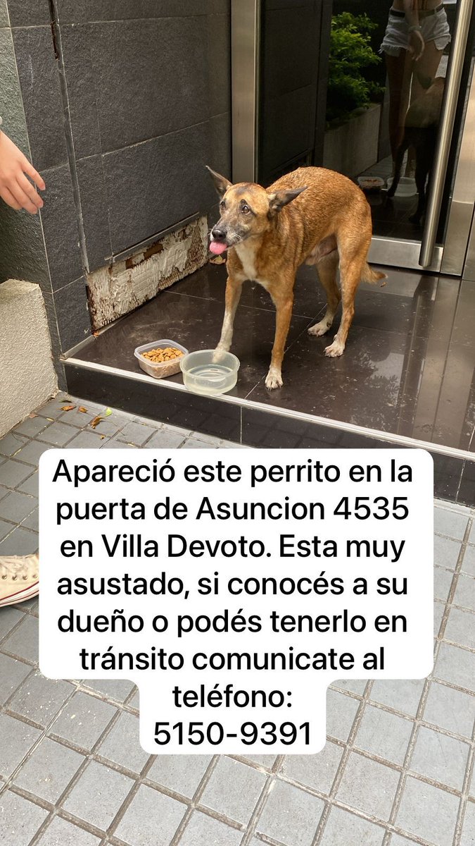 Urgente