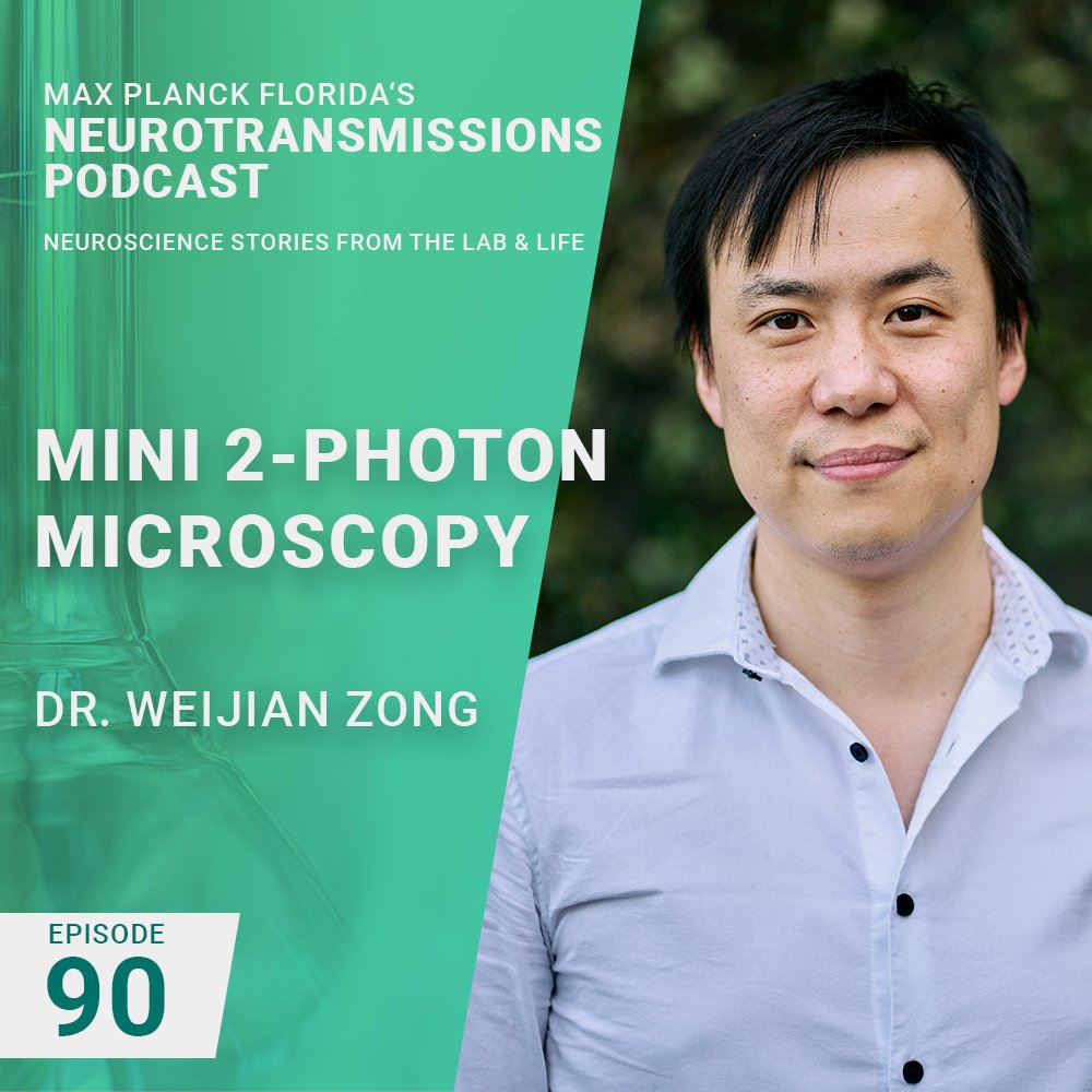 Max Planck Florida Institute for Neuroscience (@mpfneuro) on Twitter photo A new Neurotransmissions Podcast episode is out! Hosts <a href="/JWScience/">Joe is no longer here</a> & <a href="/colgan_lesley/">Lesley colgan</a> speak with @wikizong <a href="/KISNeuro/">Kavli Neuroscience</a> about the motivation, challenges & advancements leading to <a href="/TheMini2P/">Mini2P</a>.
Watch youtube.com/watch?v=RWK8uQ… or listen on major podcast platforms podcasts.apple.com/us/podcast/max… A new Neurotransmissions Podcast episode is out! Hosts <a href="/JWScience/">Joe is no longer here</a> & <a href="/colgan_lesley/">Lesley colgan</a> speak with @wikizong <a href="/KISNeuro/">Kavli Neuroscience</a> about the motivation, challenges & advancements leading to <a href="/TheMini2P/">Mini2P</a>.
Watch youtube.com/watch?v=RWK8uQ… or listen on major podcast platforms podcasts.apple.com/us/podcast/max…