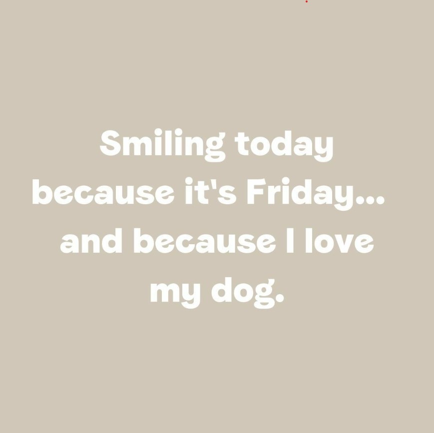 Anyone else? 🐶😁 #FridayFeeling #Dogstrust #ADogIsForLife #AdoptDontShop