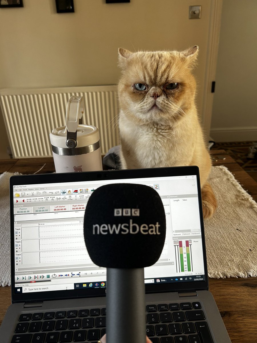 Don’t you dare ask him to make a radio package. Grumpy cat and I have your news on energy bills in today’s 1745 Newsbeat 🐱👍🏼