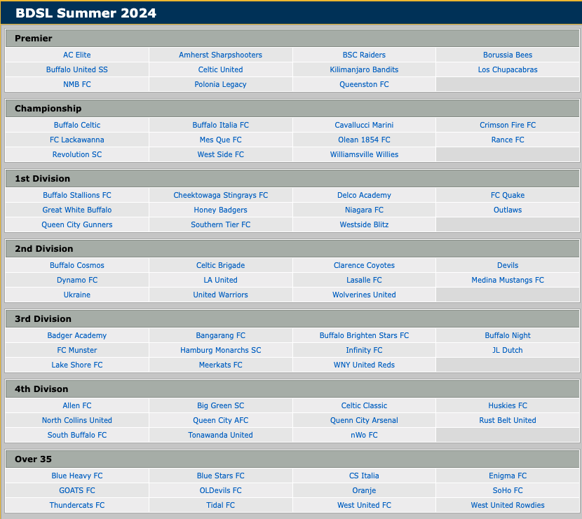 Here are your 2024 BDSL Divisions:

66 teams across 6 divisions on Sunday👿
12 teams for O-35 Friday👴