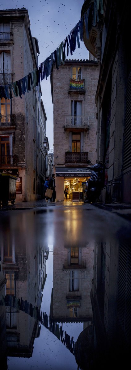 📷Un reflet dans la rue Lapeyronie à Montpellier🌃

#photo #photography #street #cityscape #panorama #vertorama #PanoPhotos