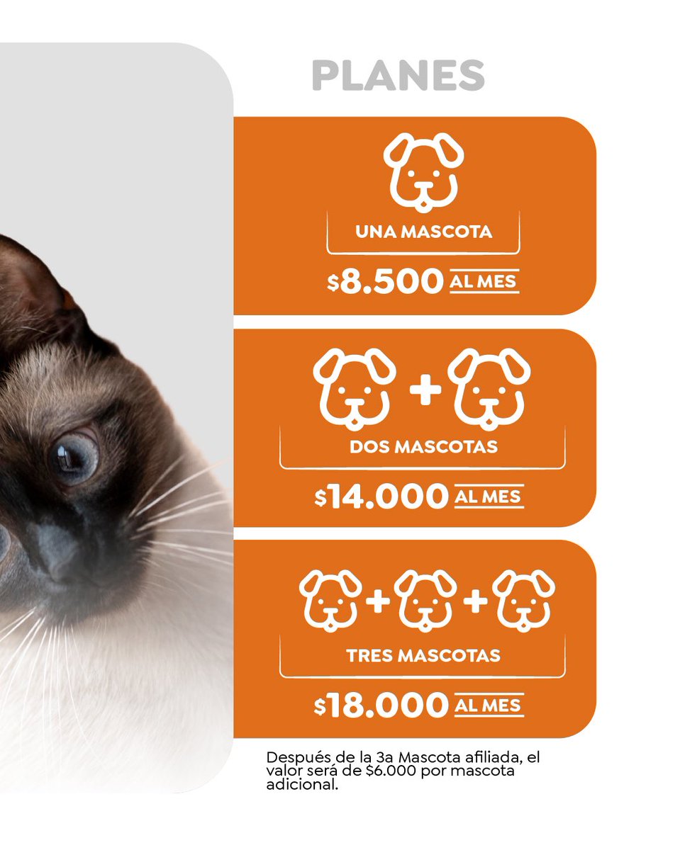 En Veterinlandia, sabemos que tu mascota es parte de tu familia. 

Con HV Multiplay, te ofrecemos planes exequiales diseñados para brindarle el mejor cuidado incluso en momentos difíciles. Porque su bienestar siempre es nuestra prioridad. 🐾 #Veterinlandia #CuidadoMascotas"