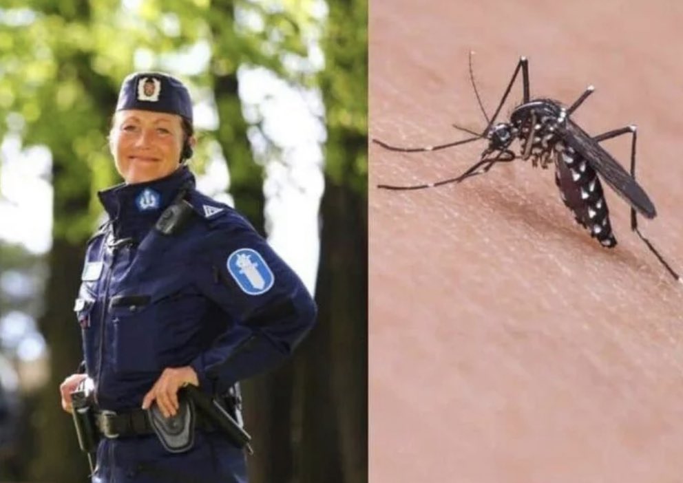 In 2008, Finnish police found a dead mosquito while searching the inside of a stolen car. They tested the blood from the mosquito's last meal and successfully used it to identify the thief that stole the car.