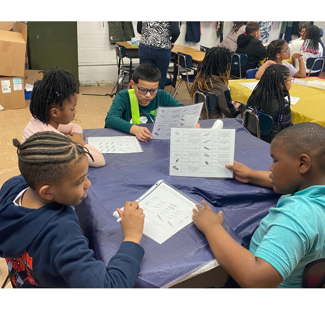 pcps_va's tweet photo. Students at Walnut Hill dove deep into the world of macroinvertebrates this morning for S.T.E.A.M Friday! 🐛💦  #HandsOnLearning #STEAMFriday https://t.co/WmLEfVpdWb