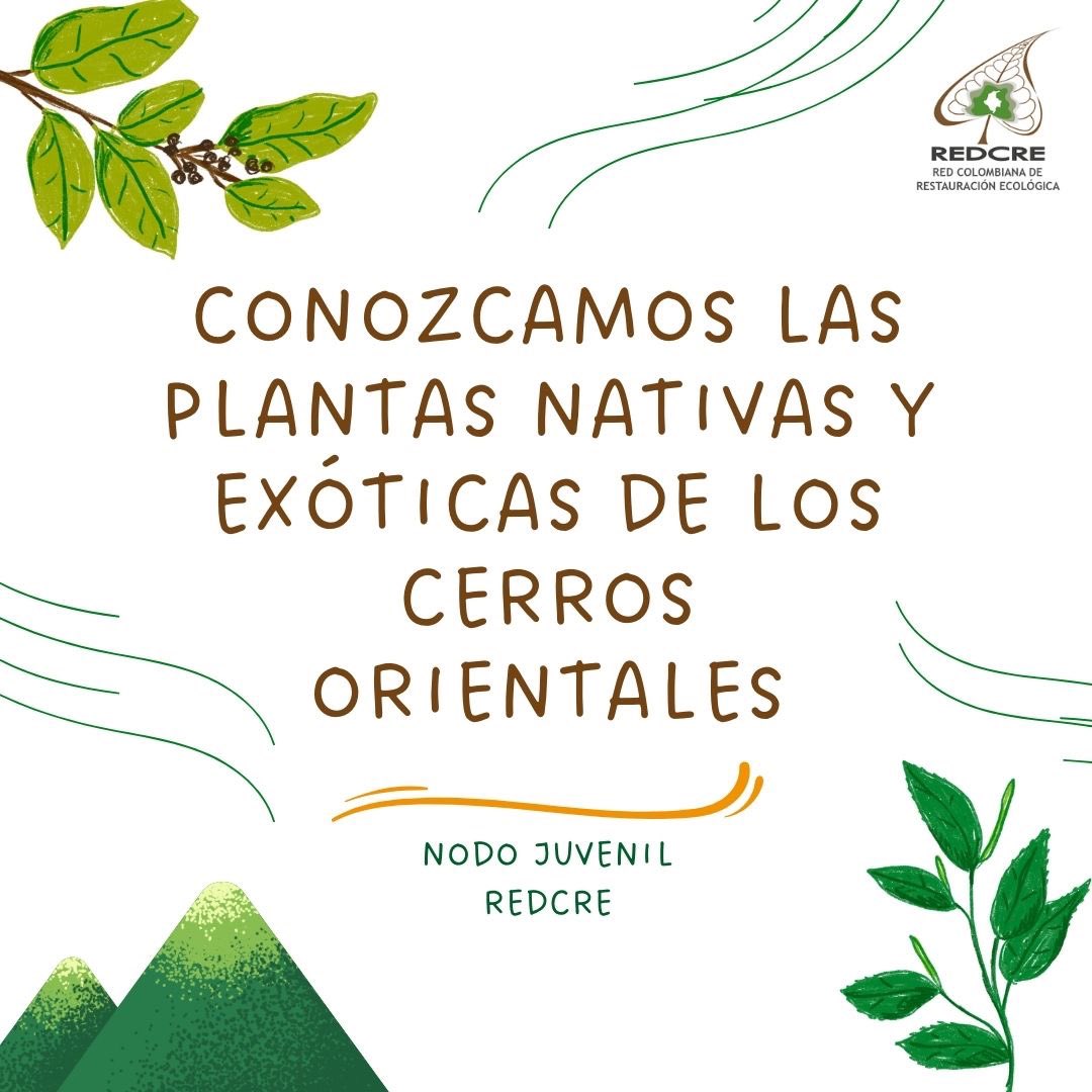 redcre_'s tweet photo. ¿Conocés la diferencia entre plantas nativas, exóticas e invasoras? 🤔
No te preocupes, te lo explicamos
¿Qué tiene que ver esto con los incendios? 🔥
Agradecimientos al Nodo Juvenil por el apoyo junto con la
REDCRE.🌿
#REDCRE #nodojuvenilREDCRE https://t.co/C99mgrMepD