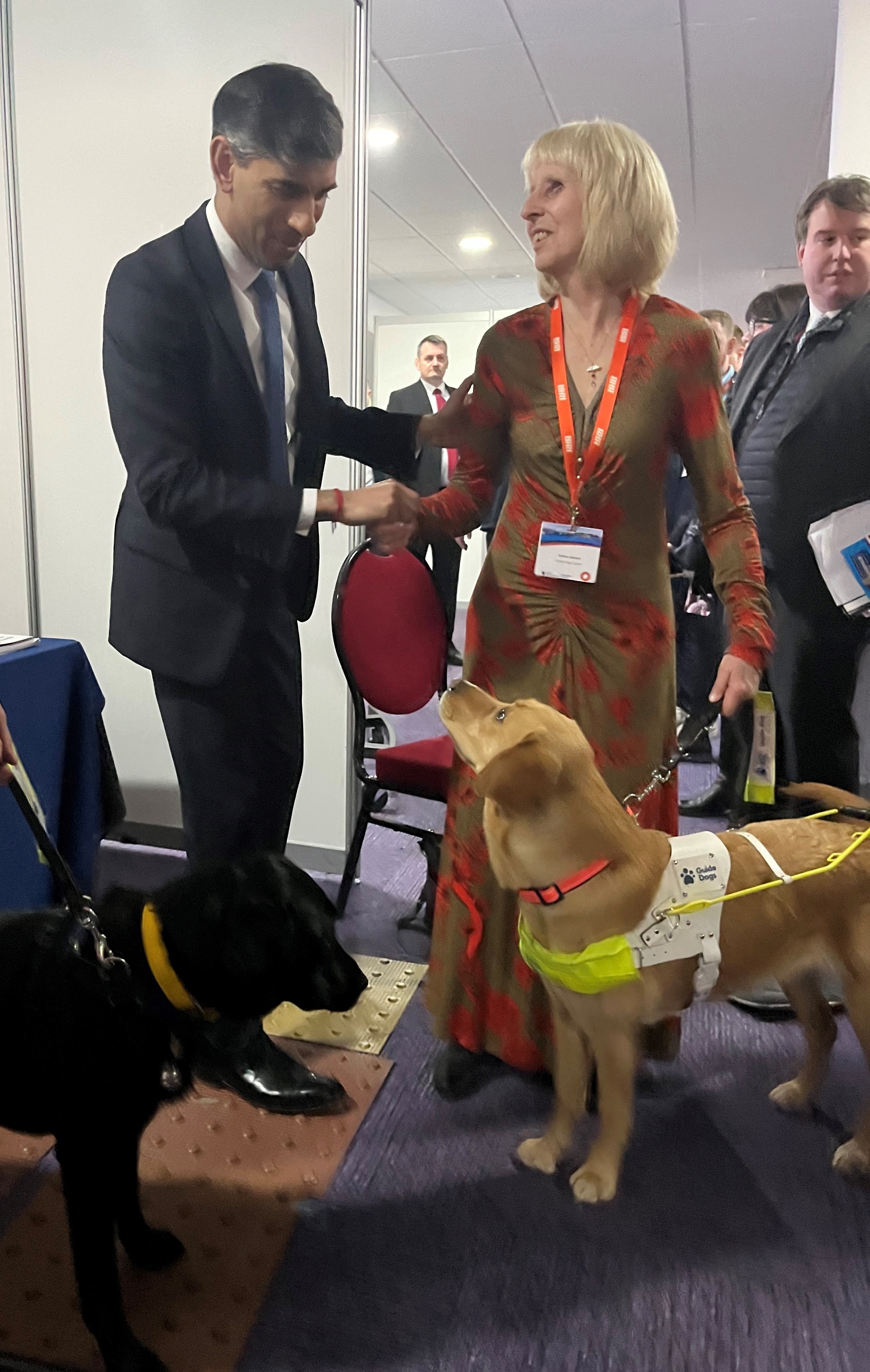 Guide dogs twitter sales