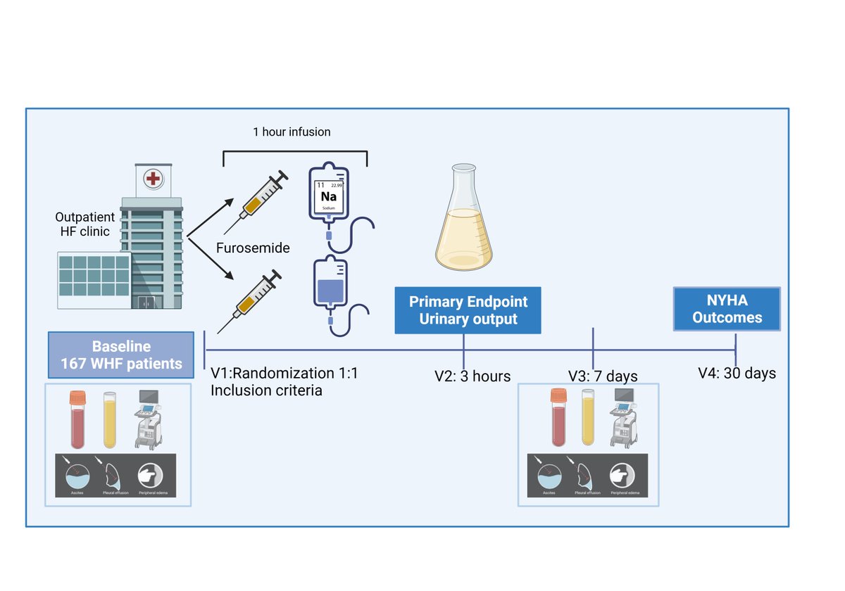 🆕Just published the design of the SALT-HF trial
👉Multicentric, randomized trial in 167 ambulatory HF patients
👉Furosemide💉 vs. Furosemide💉+ Hypertonic Saline Solution 
👉Primary EP: 3-h diuresis. Sec EP: Decongestion 7 days. 30-d events. 👇
onlinelibrary.wiley.com/doi/10.1002/eh…