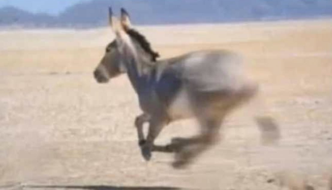 صدقني لك قبول والناس تعرفك وتحضر عروس واجد انزل انتخابات:
 #بيان_هام_لمجلس_الوزراء