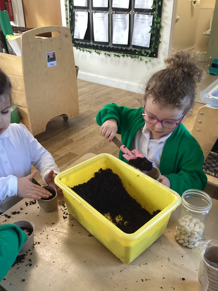 BVPSNursery's tweet photo. We have been planting our beans just like Jasper in Jasper’s beanstalk. We are going to watch it grow over the next few weeks and document it in our bean diary #bvpseyfs #bvpsscience https://t.co/cbFnjrQhLZ