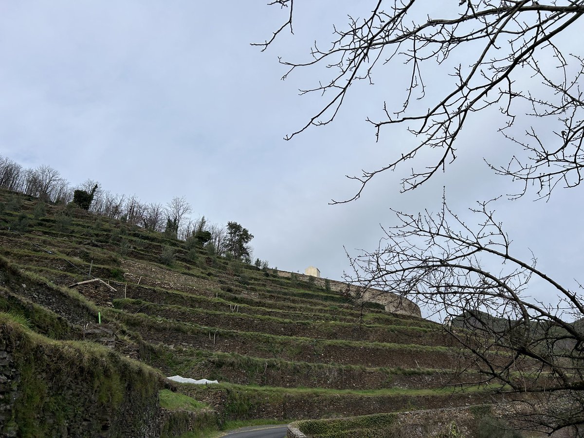 pvferrandi's tweet photo. @IsaLPao Photo du jour😉:
Les terrasses de Saint-Martial.
Plus localement, à Urtaca, on devrait réhabiliter près de 2ha de jardins en terrasse, réaliser des stocks d’eau…
Commencement des travaux, fin 2024/début 2025 https://t.co/HWEBISIzr0