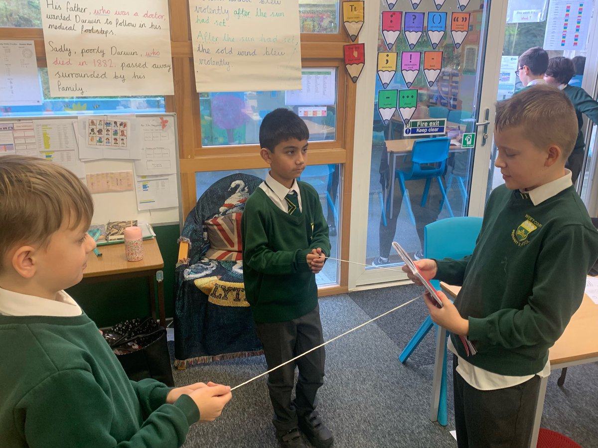 WideyBuckland tweet media