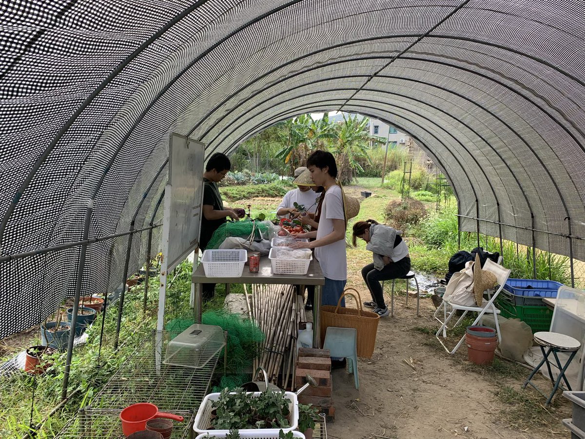 BrightBirdBio's tweet image. 受傷過後

上個星期不小心整傷了左手，不幸之中的大幸是能在醫院即晚做好手術，處理了二天就可以出院。可惜傷勢不輕，可能要三個月治療才能完全康復，而這段時間完全不可以用左手。

brightbirdbio.com/?p=3404