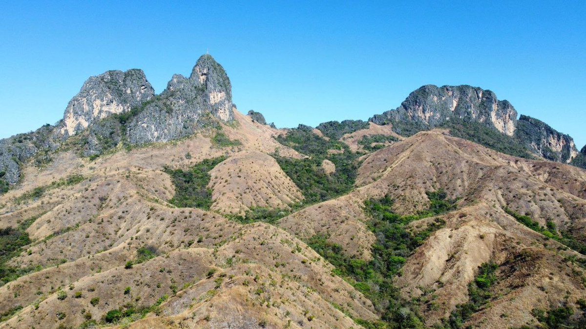 #EnVivo🔴 Durante el Programa En Directo con el Gobernador, el Secretario de Seguridad Ciudadana y Paz, G/D Ugas Medina, detalló que instalarán un faro piloto que funcionará con paneles solares en el Monumento Natural Arístides Rojas.

#VenezuelaDibujaElFuturo
#GuáricoProduce