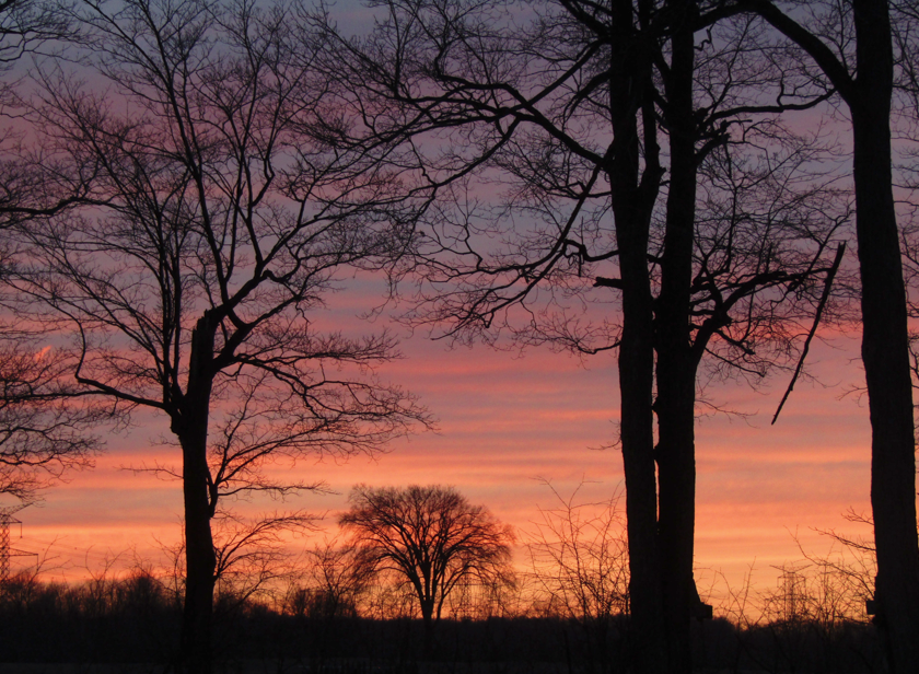 ScottReaBrooks1's tweet photo. Last night's sunset, with soft colours of pink and orange. As seen in my backyard near #ActonON @_HaltonHills https://t.co/6qjhG8oORL