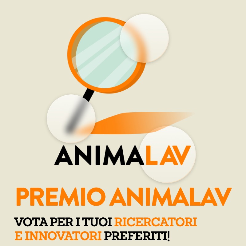 LAV_Italia's tweet photo. 🏆#AnimaLAV è il premio che vogliamo assegnare a coloro che hanno avuto un impatto importante e positivo sugli animali!

Annamaria Bassi, Stefano Biressi e Luciano Conti e Giovanna Massei sono i candidati per la categoria Ricercatori e Innovatori.

Vota il tuo preferito qui 👇