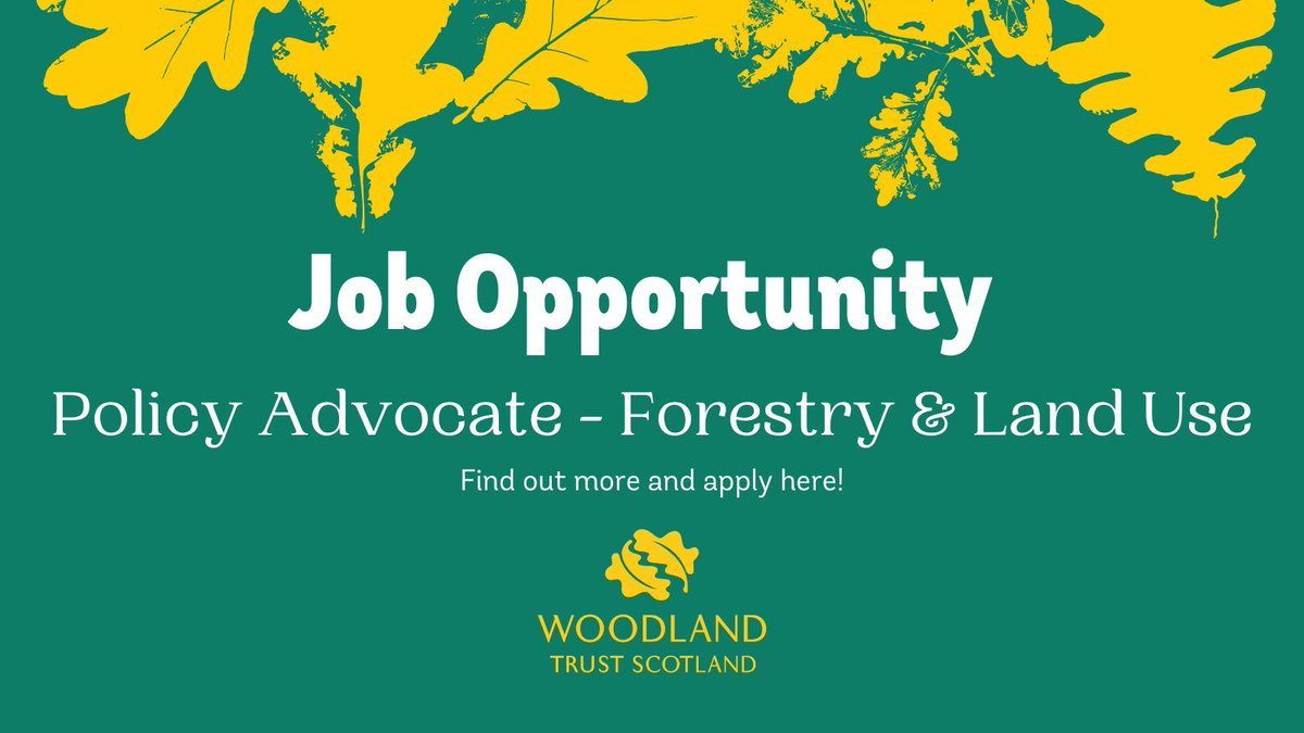 *2 days to apply* 
Exciting new policy & advocacy opportunity with a focus on future land use payments including forestry grant schemes, deer management & agriculture.
A real opportunity to make a difference.
Closes Sun 25 Feb.
👉 buff.ly/3Hy4FV3 
#PolicyJobs #NatureJobs