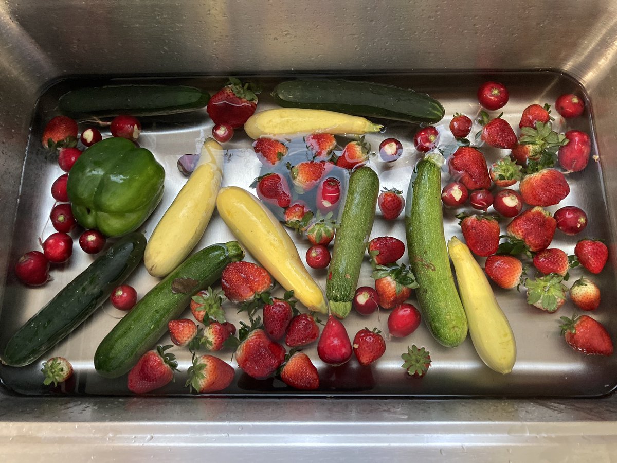 afrosabi's tweet photo. Washing my veggies and fruit 

#Bleachgate https://t.co/ztzCsgVv2i
