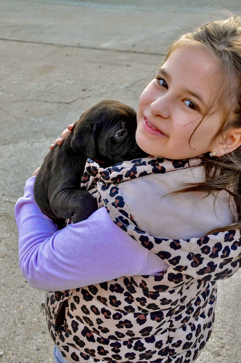 🤩🤩🤩 puppyyyyyy… 😍😍😍
#canecorso
#Child
#Puppy
#KidsAndPets
#KidsAndAnimals #CuteKids #CutePuppies
#KidsAndPetsTogether
#PetsForKids
#ChildhoodMemories
#KidsAndPetsPhotos
#KidsJoy
#PetsAndLove
#PuppyLove
#KidsAndPetsHappiness
#SweetKidsAndPets