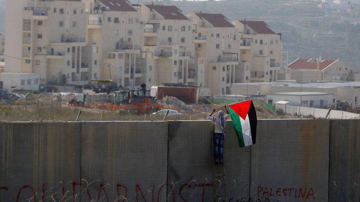 soupalestina's tweet image. 🤮🇮🇱 O governo da ocupação israelense está planejando construir 3.000 unidades de assentamentos ilegais na Cisjordânia, segundo a mídia israelense.

Os planos, que deverão ser aprovados dentro de alguns dias, surgem algumas semanas antes do mês do Ramadã, quando há receios de uma