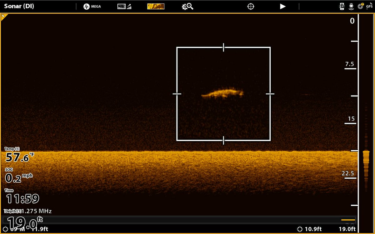 HumminbirdFish's tweet photo. Name this fish species ๐ #MEGAImaging
#Humminbird #FishFinder #DownImaging https://t.co/26RFaiT96Z
