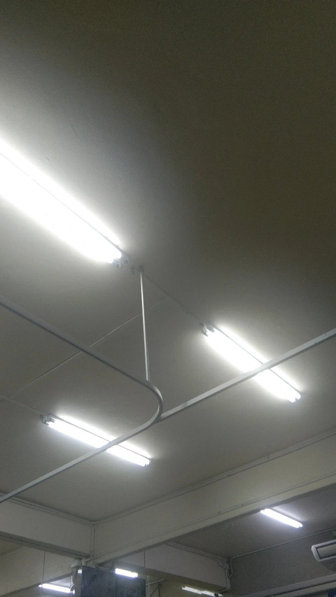 รักแมวมากแต่ลืมไปว่ามันเป็นแมวเปรต