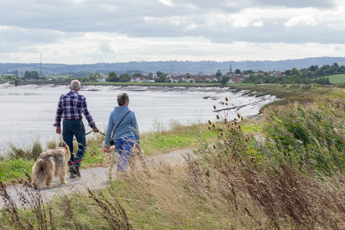 Jono Reeves tweet media