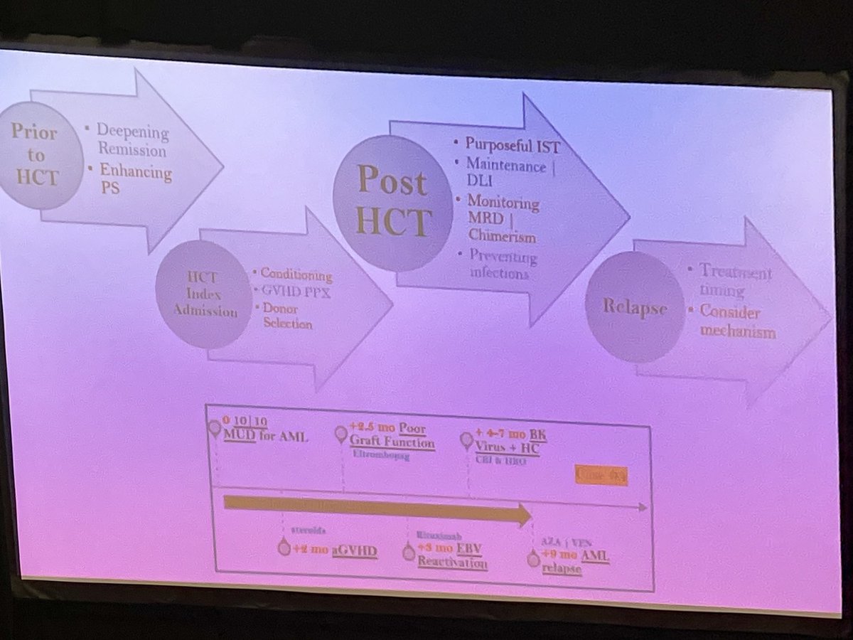 A phenomenal talk given by <a href="/ekherrity12/">Liz Herrity</a> on the mechanisms of Leukemia relapse after #BMT at the APP session