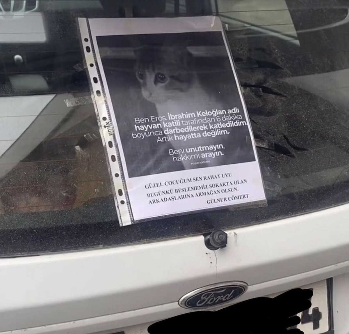 Halkın tepkisi sürüyor . Eros her yerde ❗️
Halk artık hayvana şiddet görmek istemiyor .Yatarı olan hapis cezaları olmasını istiyor . Cezasızlık suçu ve suçluyu arttırıyor . Şimdi tam zamanı Eros ve tüm türler için hayvan hakları anayasaya 
#ibrahimkeloğlanTUTUKLANSIN