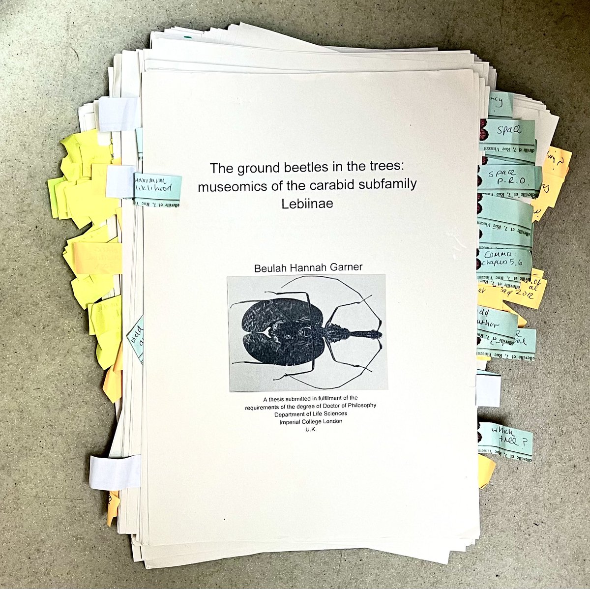 Beulah Garner tweet media